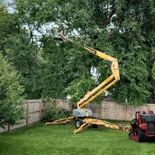 Best Fruit Tree Pruning  in Jennings, LA